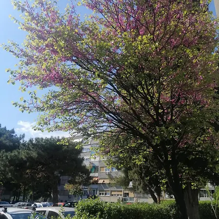 民宿 Aurora Near Center *