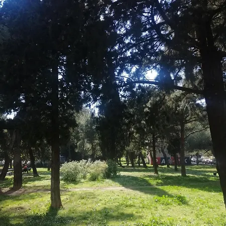 Aurora Near Center Séjour chez l'habitant