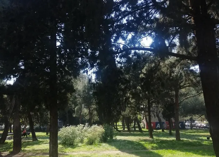 Aurora Near Center Rum i privatbostad