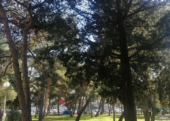 Aurora Near Center Rum i privatbostad