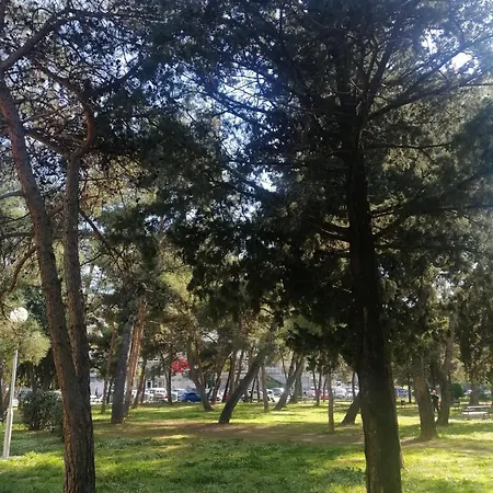 Aurora Near Center منزل للإقامة